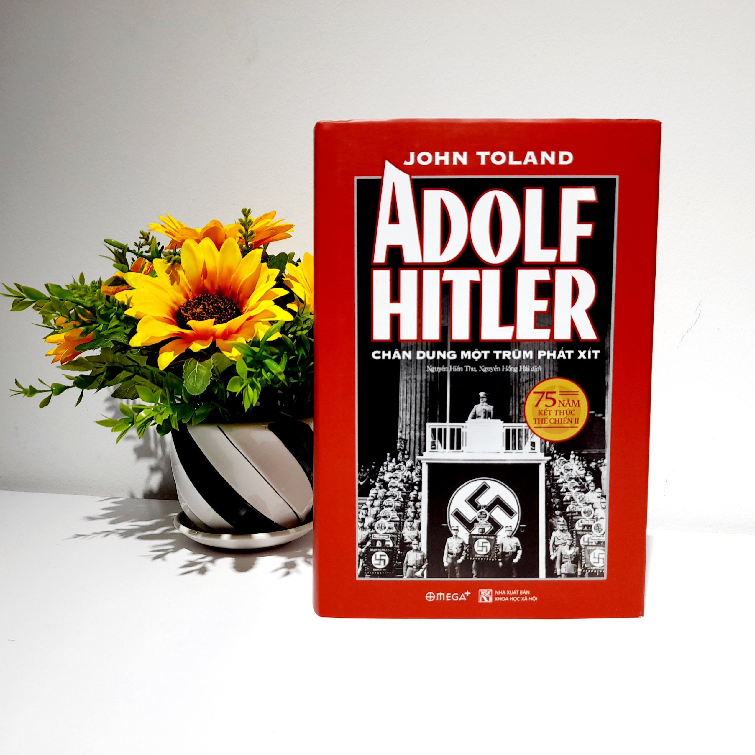 Chi tiết khuôn mặt Adolf Hitler